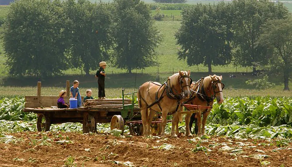 A person stands on a horse-drawn wagon with three children amidst a farm field suggesting a scene of traditional agriculture