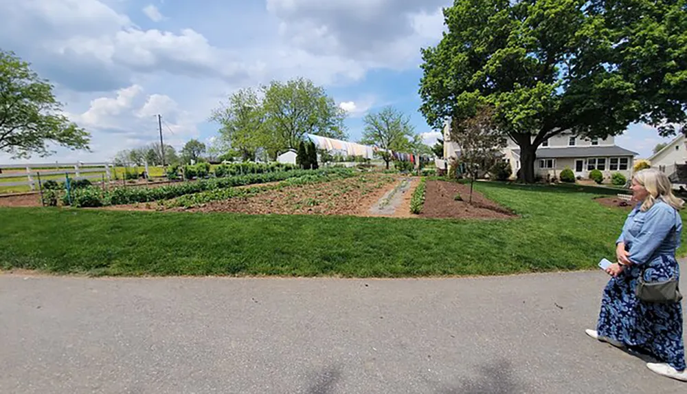 A person is sitting on the curb of a paved path looking at a lush vegetable garden next to a white residential building on a sunny day