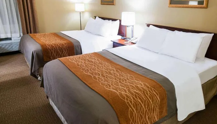 The image shows a neatly arranged hotel room with two queen-sized beds featuring white linens and brown decorative runners