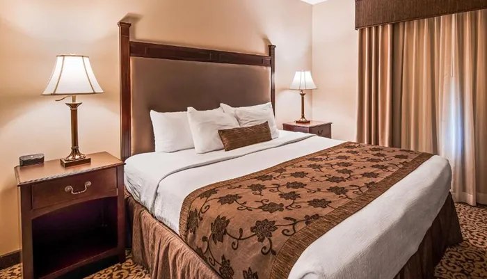 This is an image of a neatly arranged hotel room with a king-sized bed flanked by two nightstands and lamps featuring a decorative brown bedspread and a curtained window