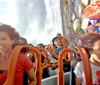 Thrilled riders express joy and excitement on a roller coaster as they descend a steep track under a sunny sky