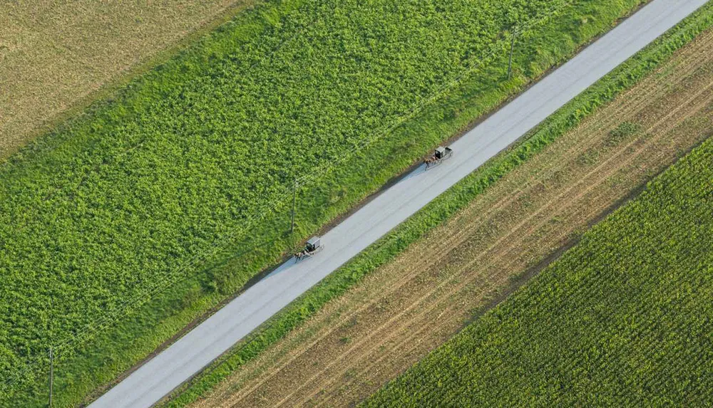 An aerial view showing two horse-drawn carts traveling on a road that divides agricultural fields