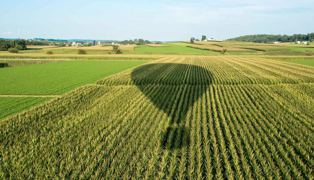 The image shows an aerial view of a picturesque farmland with patterned fields and the shadow of a large hot air balloon cast over the crops