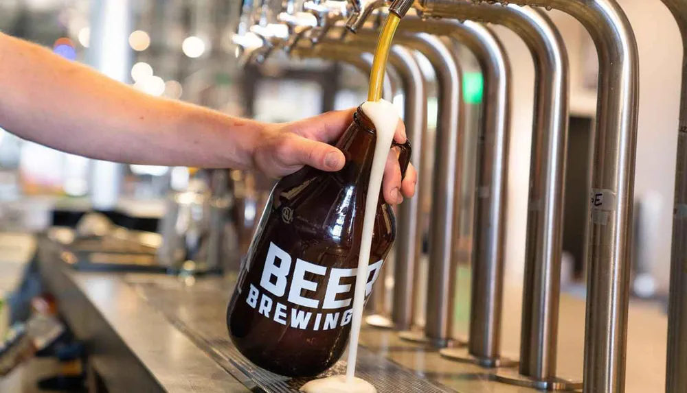 A person is filling a growler with beer from a tap at a brewery