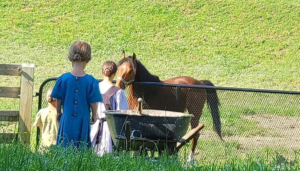 Three children in old-fashioned clothing stand by a fence observing a horse behind it on a sunny day
