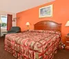 The image shows a hotel room with a brightly patterned bedspread warm orange walls and basic furnishings including a work desk chair and nightstands