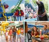 This image is a collage showcasing various amusement park attractions and experiences including a roller coaster a seal show a water slide a family enjoying a theme park a dining experience and a group on a ride
