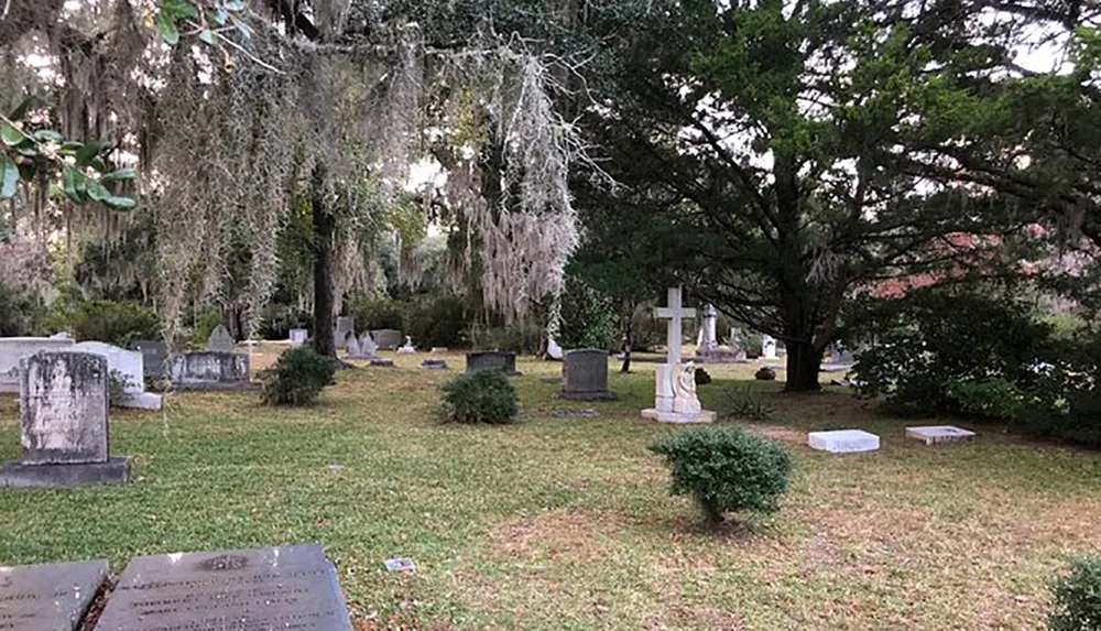 This image shows a peaceful cemetery draped with Spanish moss featuring various gravestones and a prominent cross memorial among the trees