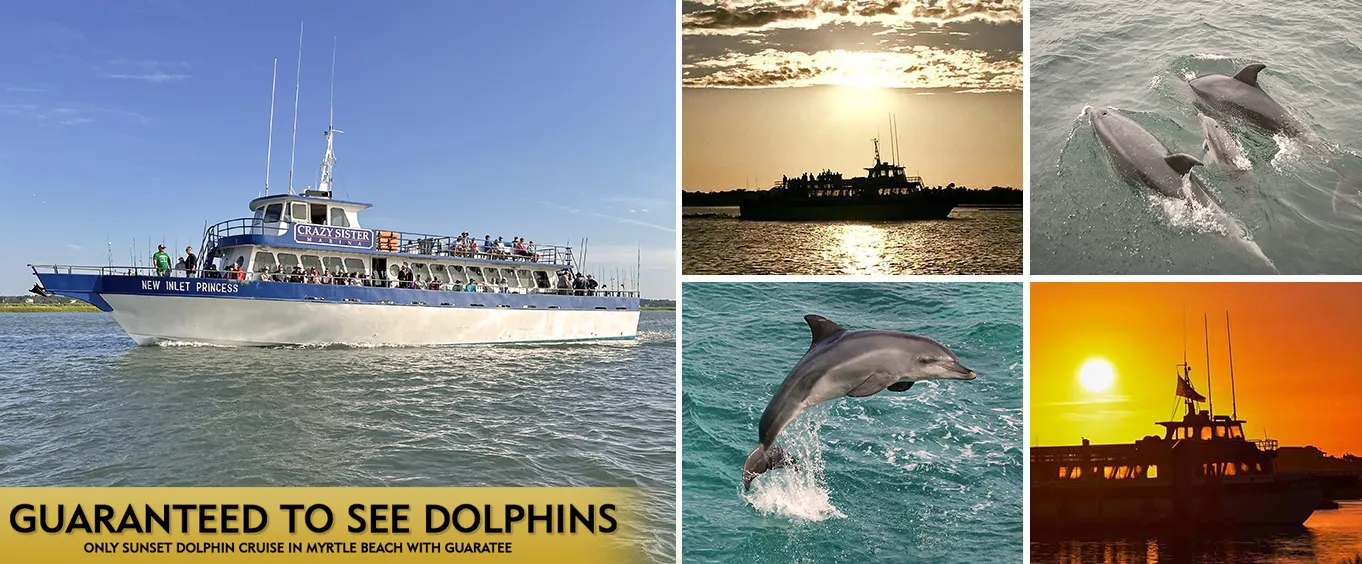 Myrtle Beach Dolphin Sunset Cruise Murrells Inlet
