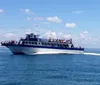 The image shows a large boat named New Inlet Princess from the Crazy Sister Marina filled with passengers cruising on the water with a promise of guaranteed dolphin sightings advertised in bold lettering above