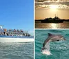The image shows a large boat named New Inlet Princess from the Crazy Sister Marina filled with passengers cruising on the water with a promise of guaranteed dolphin sightings advertised in bold lettering above