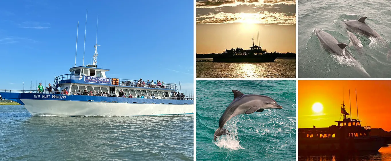 Myrtle Beach Dolphin Cruise & Dolphin Tours