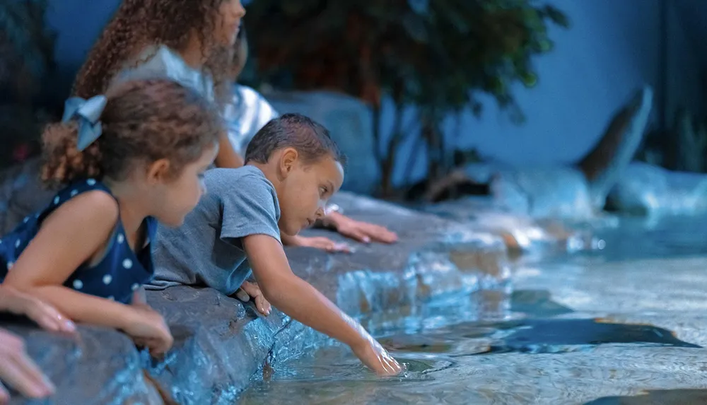 Children are leaning over a pool seemingly fascinated by the marine life with one reaching into the water in an indoor aquatic setting