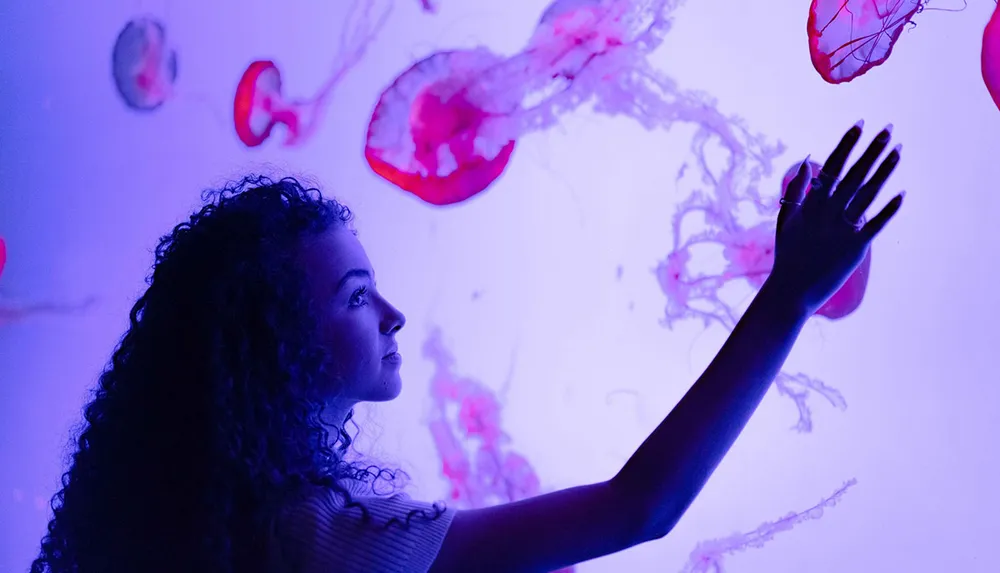 A person is reaching out towards luminous jellyfish in a dark undersea ambiance
