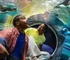 Two people are observing penguins swimming in a clear underwater tunnel at an aquarium