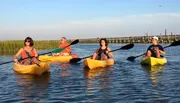 Guided Myrtle Beach Backwater Kayak Tour