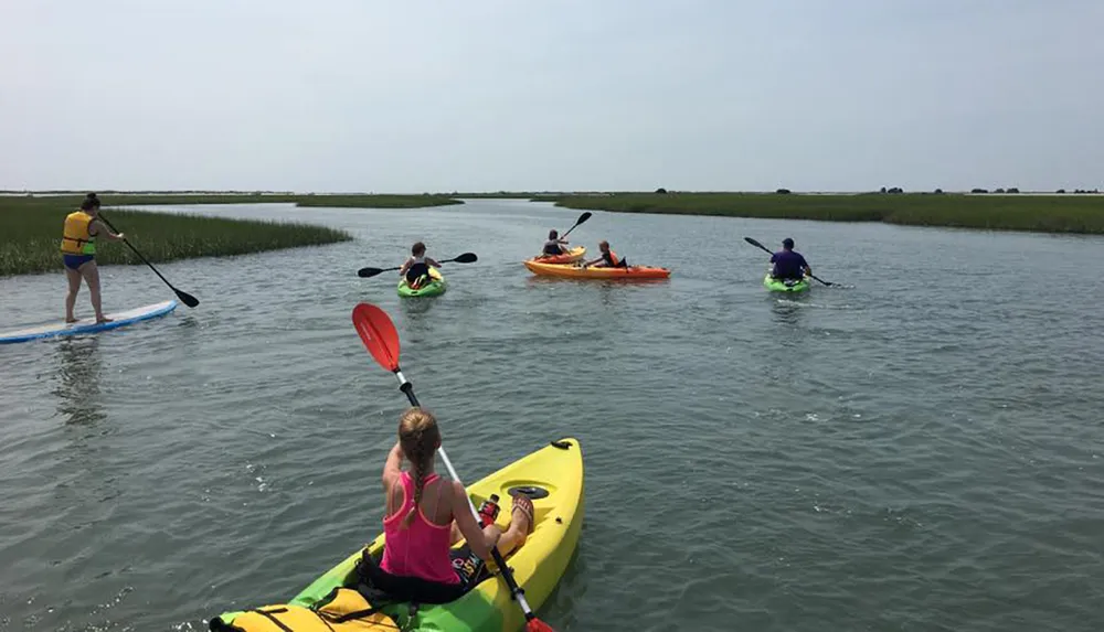 Guided Myrtle Beach Backwater Kayak Tour