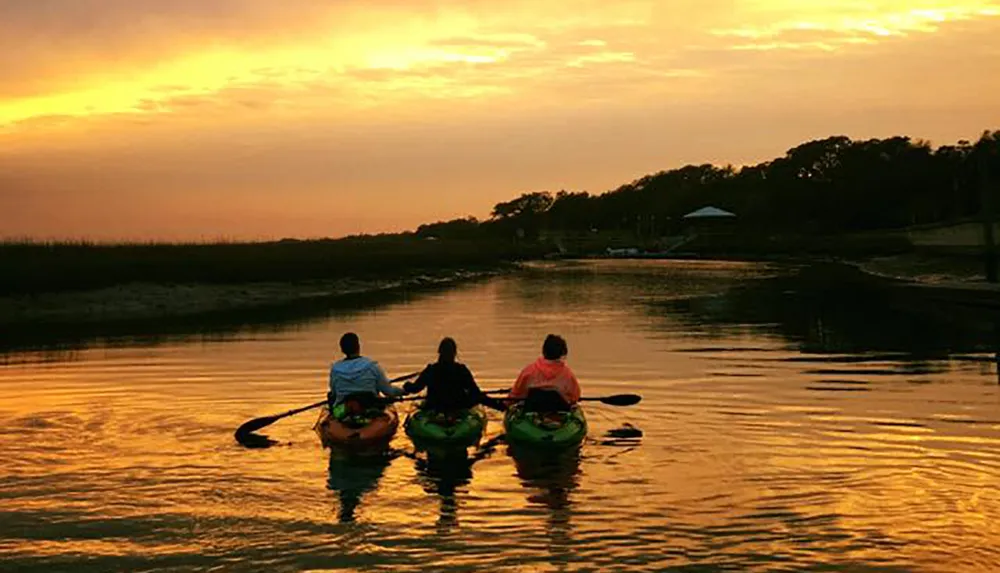 Guided Myrtle Beach Backwater Kayak Tour