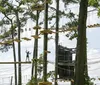 Two people are navigating an outdoor high ropes course among the trees equipped with safety harnesses and helmets