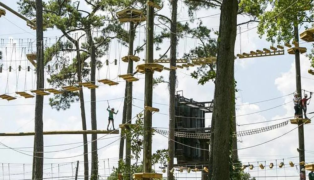 People are navigating an aerial adventure park among the trees on various rope courses and platforms