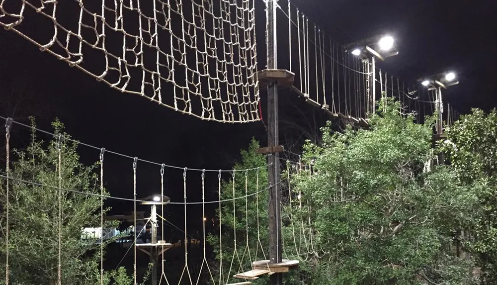 The image shows an outdoor adventure ropes course with various obstacles and netting set up among trees under artificial nighttime lighting