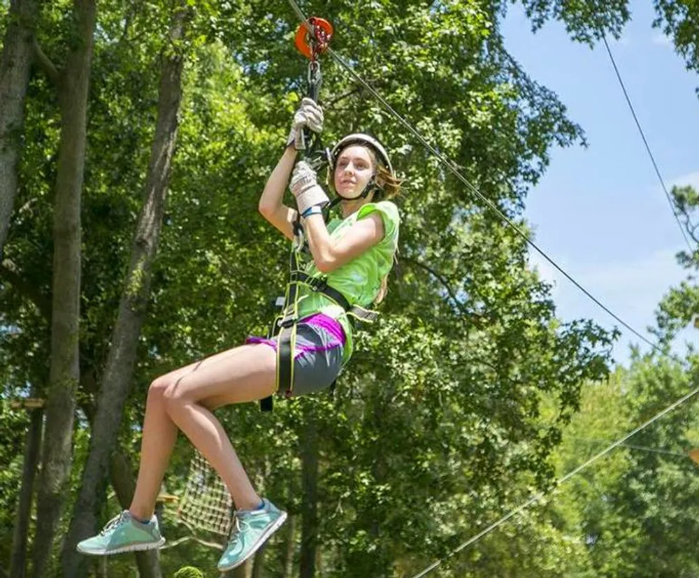 A person is gliding along a zipline among trees on a sunny day