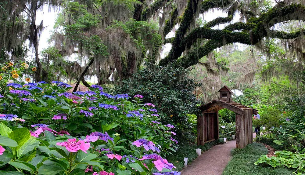 A wooden garden arbor stands at the entrance of a pathway surrounded by lush hydrangea flowers and draped with Spanish moss evoking a serene enchanted garden atmosphere