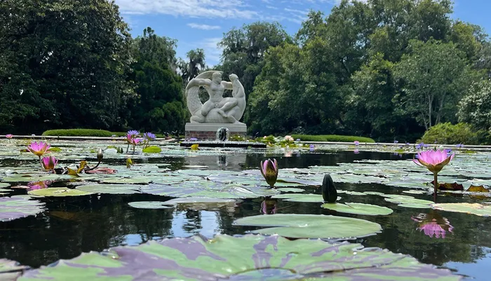 Brookgreen Gardens Photo