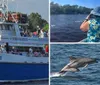 Two dolphins are leaping out of the ocean waves in unison