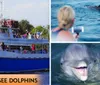 Myrtle Beach Dolphin Sightseeing Cruises Collage