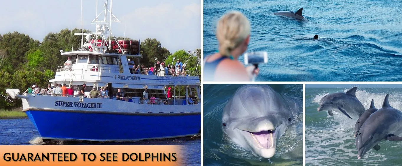 Myrtle Beach Dolphin Sightseeing Cruises & Tours