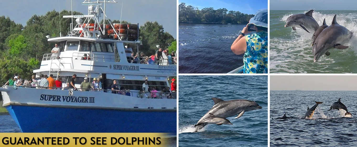 Myrtle Beach Dolphin Cruise & Dolphin Tours - Guaranteed to See Dolphins