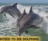 Two dolphins are leaping out of the ocean waves in unison