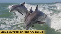 Myrtle Beach Dolphin Cruise &...