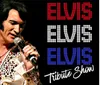 The image depicts a person dressed as a tribute artist performing onstage imitating a famous musician alongside text that says Elvis Tribute Show