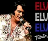 The image depicts a person dressed as a tribute artist performing onstage imitating a famous musician alongside text that says Elvis Tribute Show