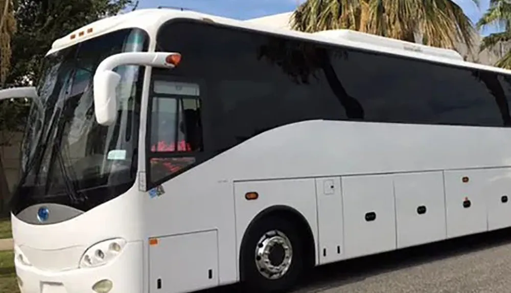 The image shows a modern white tour bus parked on the side of a road likely used for group travel