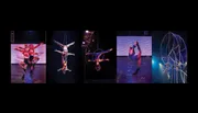 The image displays a series of dynamic circus acts, featuring performers in vibrant outfits executing aerial and acrobatic feats on stage.