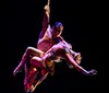 Two aerialists perform an acrobatic routine suspended in mid-air and holding hands