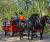 Enjoy Grand Strand Wagon  Buggy Rides