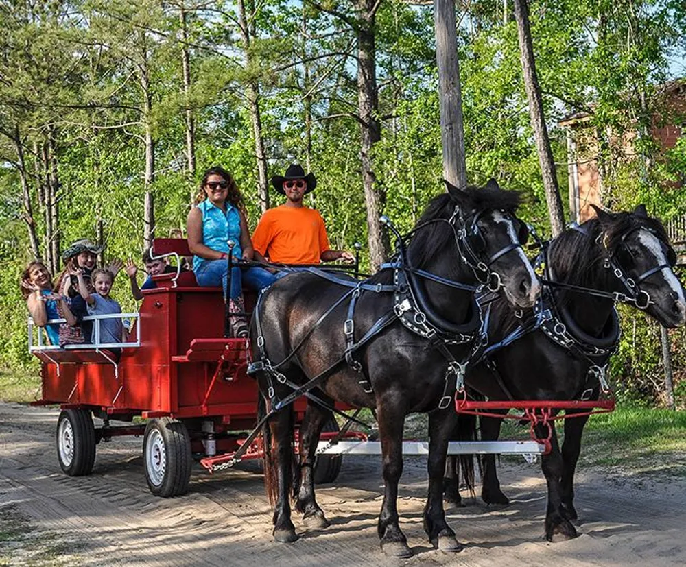 A group of people enjoy a horse-drawn wagon ride in a wooded area