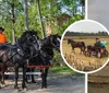 Grand Strand Wagon  Buggy Rides Collage