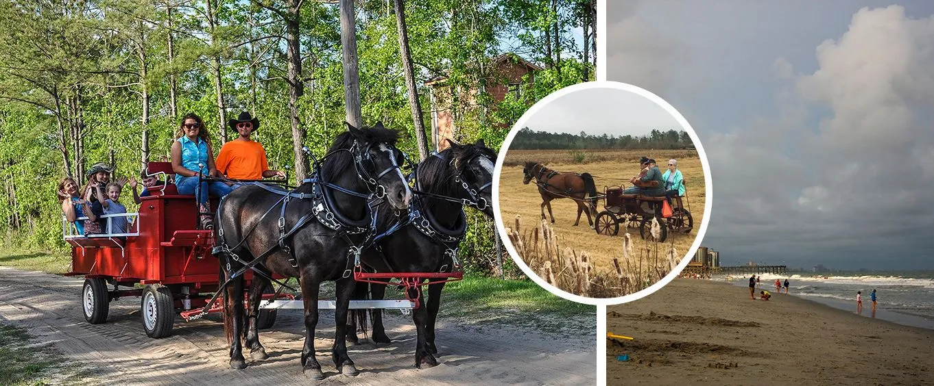 Grand Strand Wagon & Buggy Rides