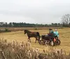 Enjoy Grand Strand Wagon  Buggy Rides