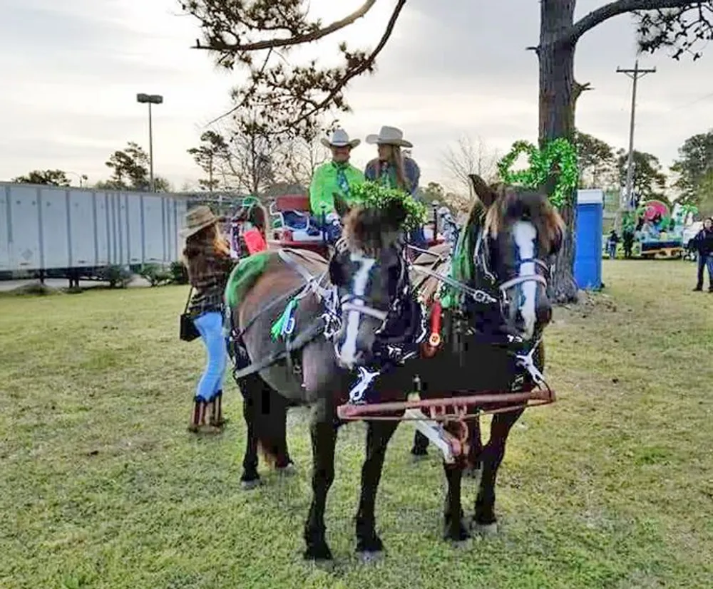 This image shows a festively decorated horse-drawn cart with people wearing green outfits possibly celebrating a St Patricks Day event