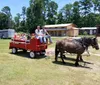 Enjoy Grand Strand Wagon  Buggy Rides