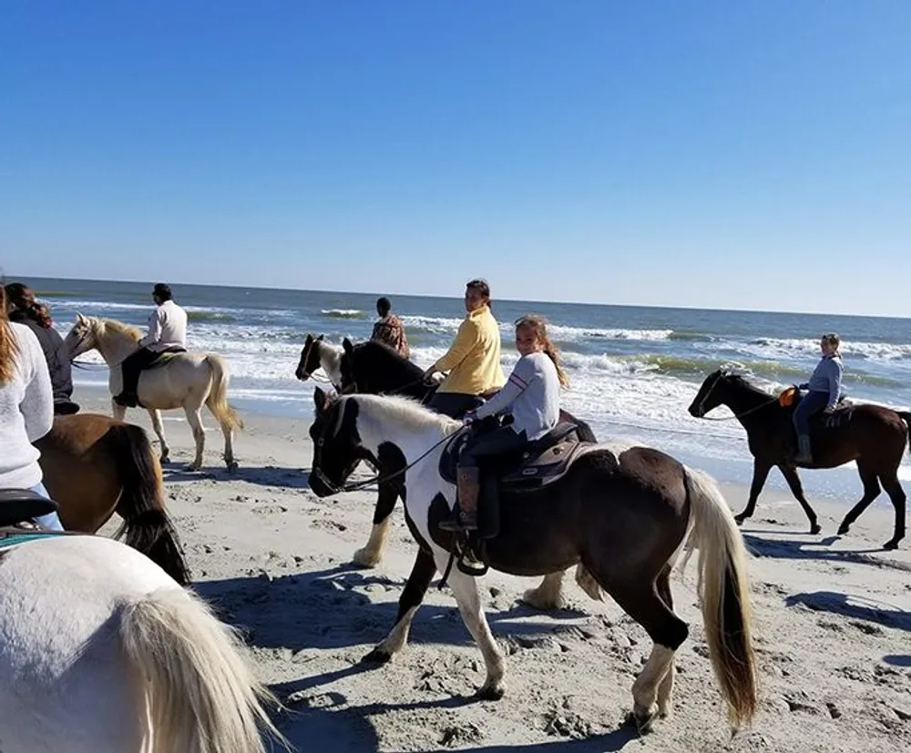 People are riding horses along a sandy beach with the ocean in the background