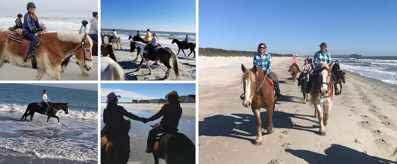Grand Strand Myrtle Beach Horseback Rides On The Beach