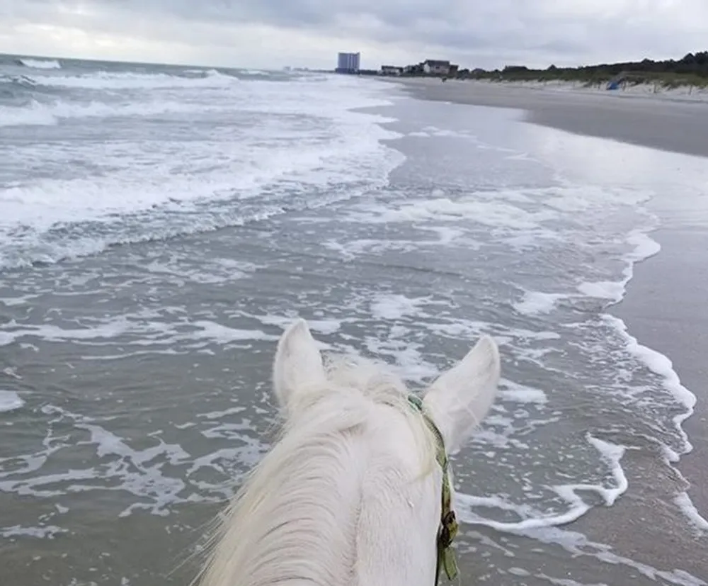 A horseback riders perspective captures a tranquil beach scene with the horses white mane in the foreground and the oceans waves gently breaking on the shore