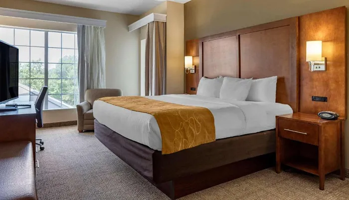 Photo of Comfort Suites Myrtle Beach Room